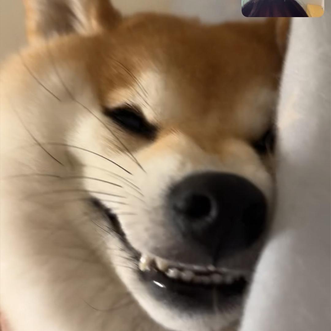 wuyut
