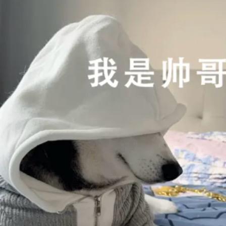 焕子哥