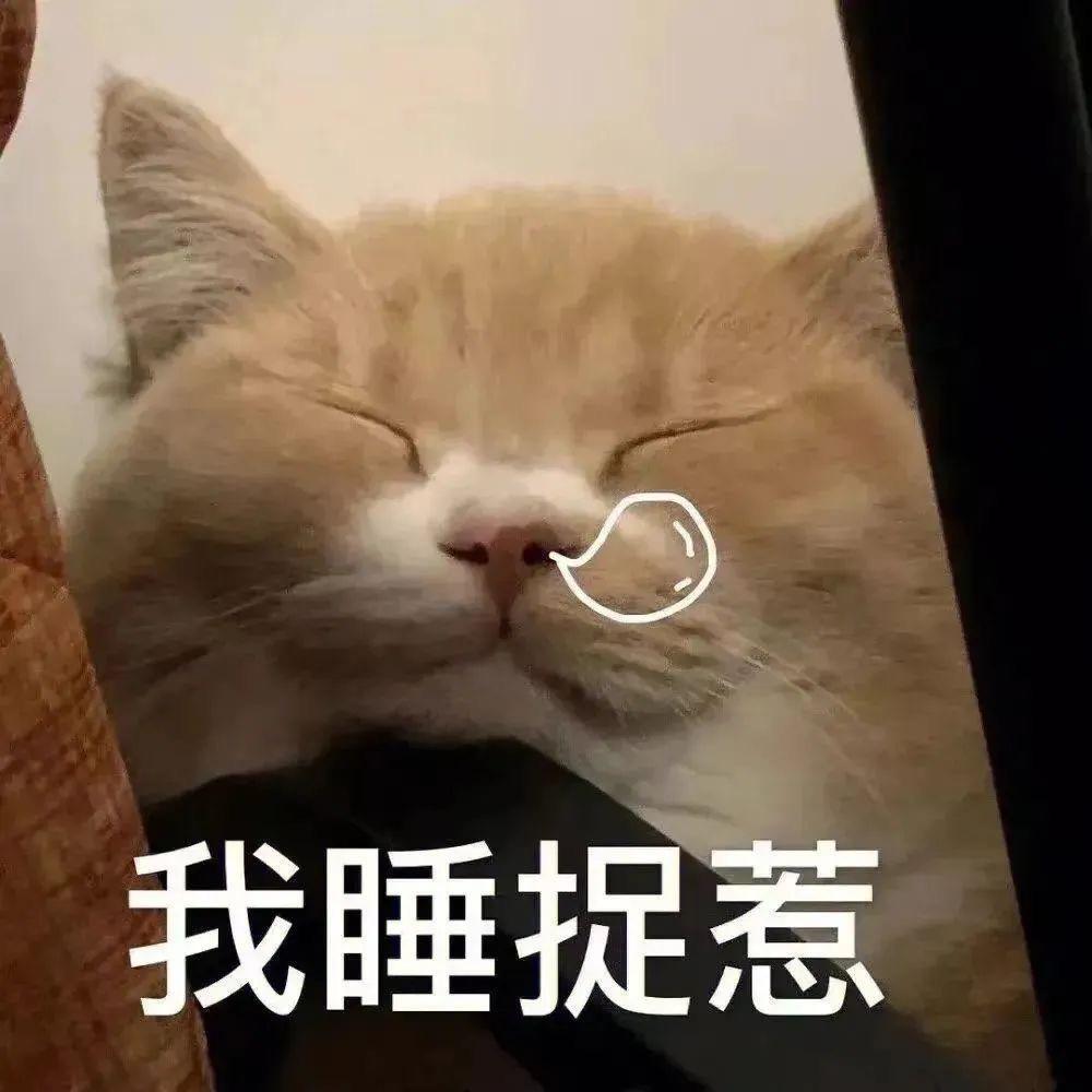 小星星⭐️