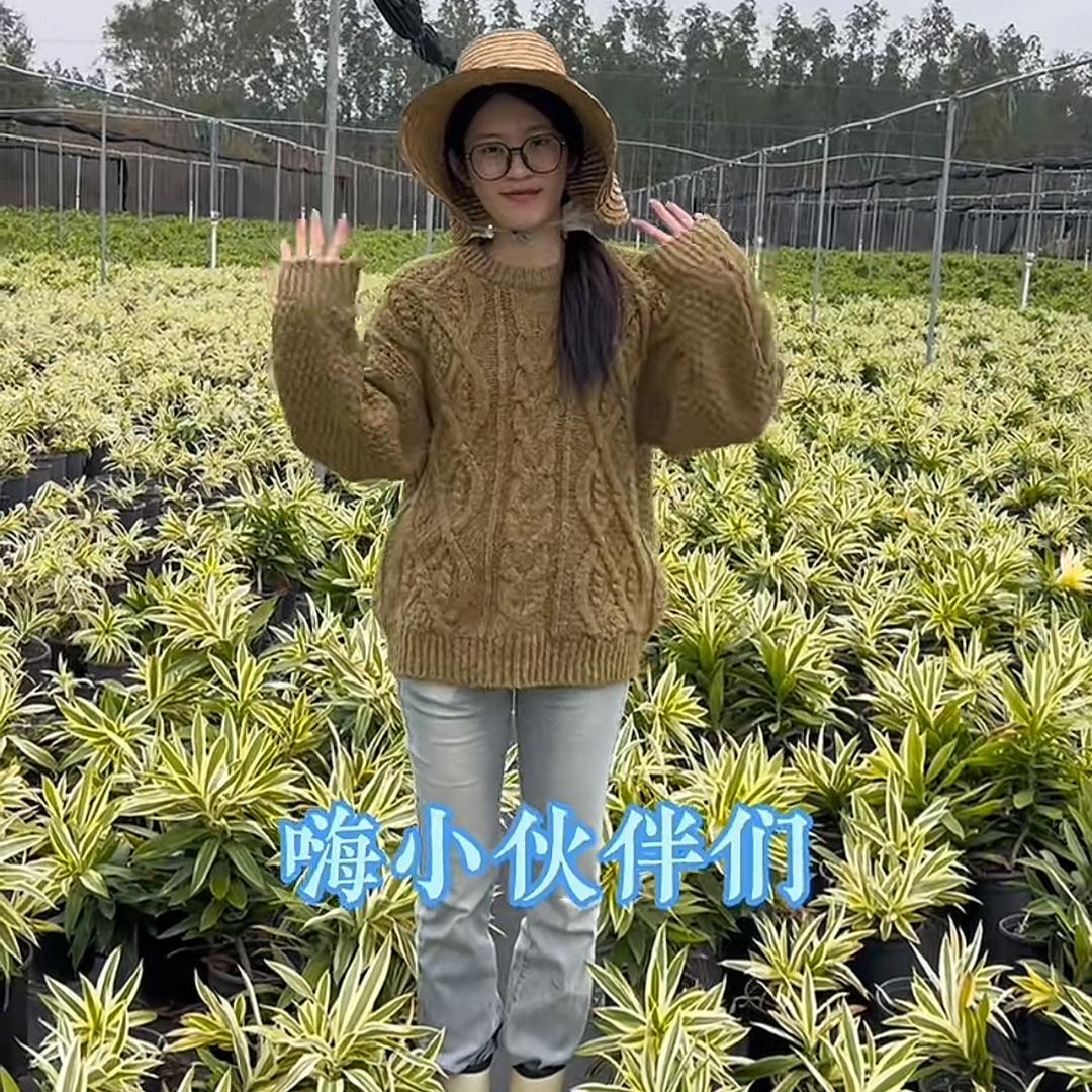 翠意原乡绿植