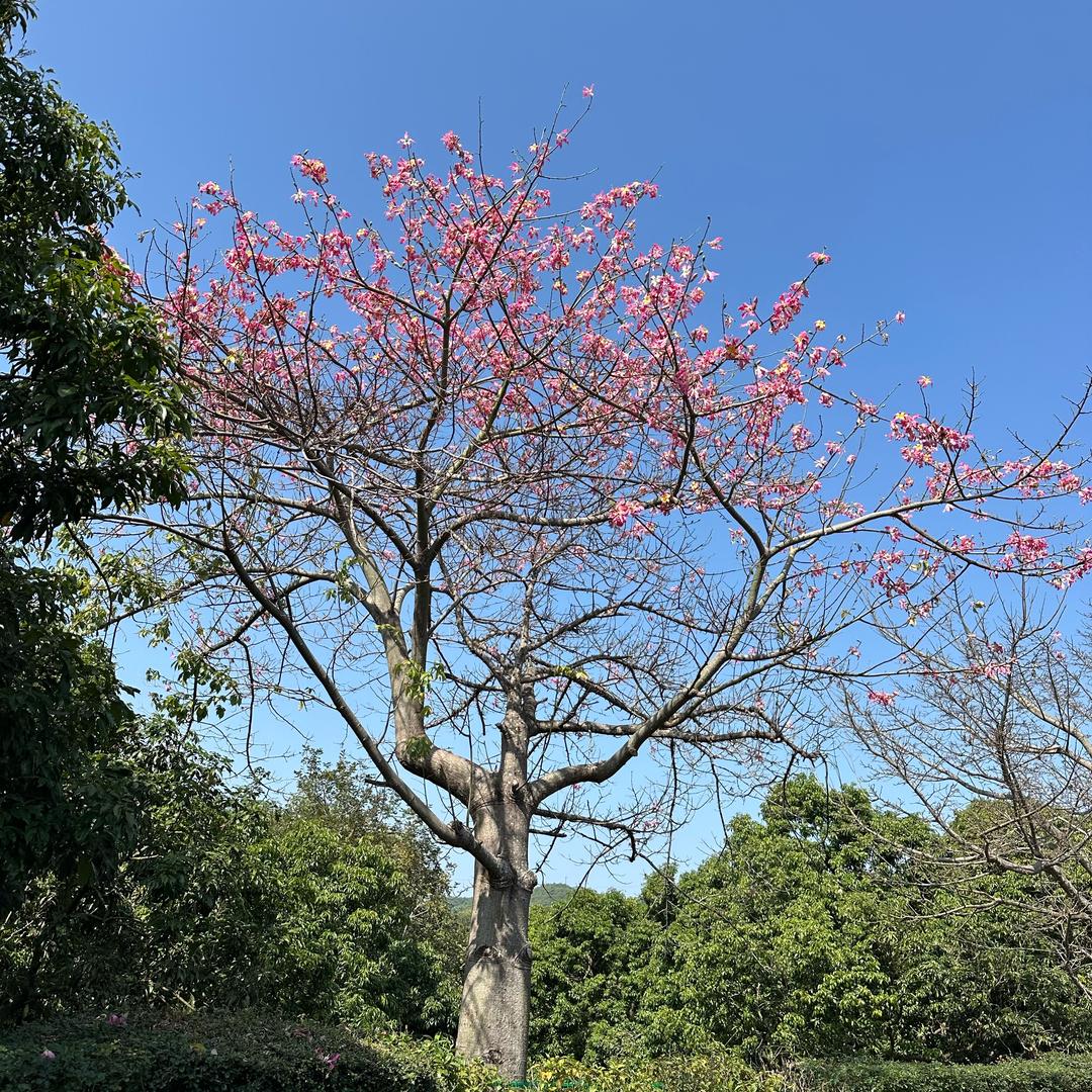 壹佰万