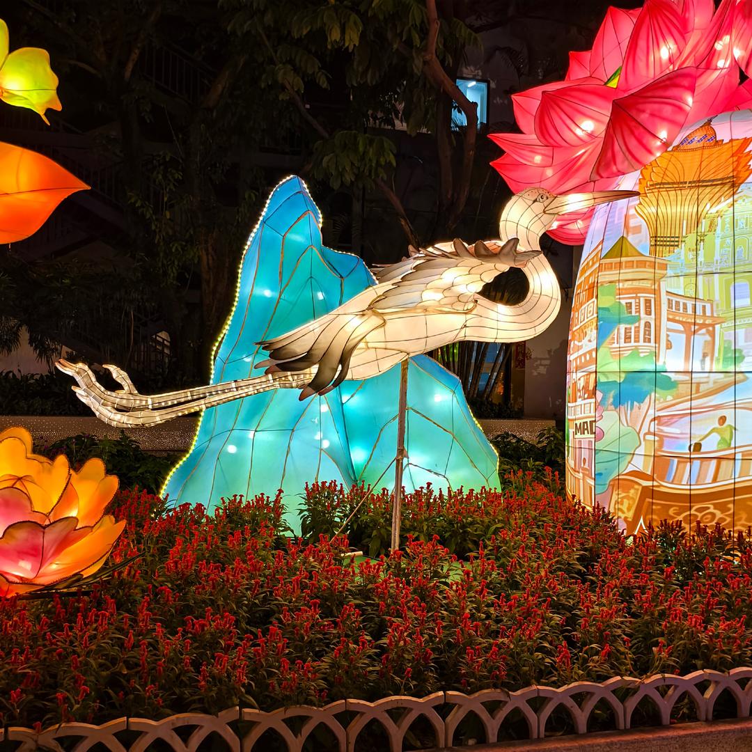 爱臭美的小小马