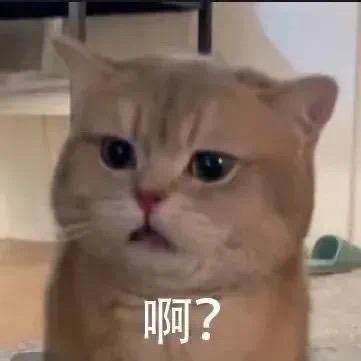 😓😓😓😓哈哈