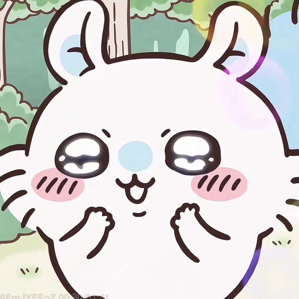 玩子猪猪