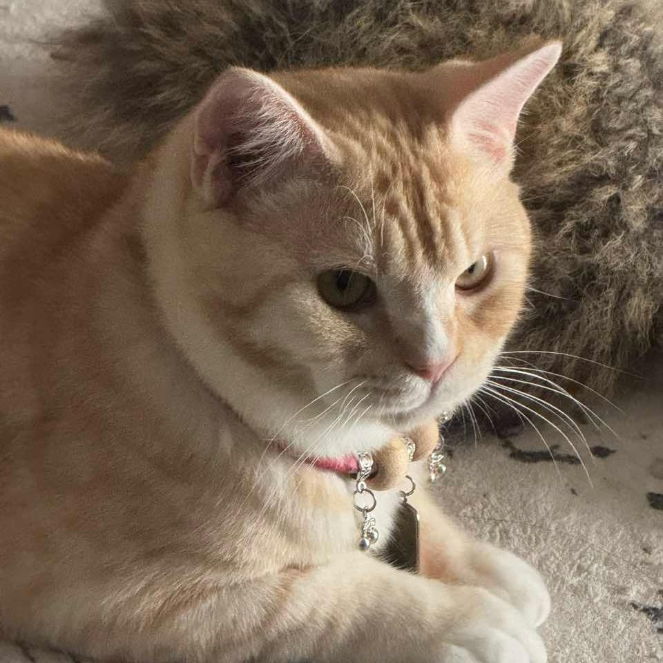 颜真