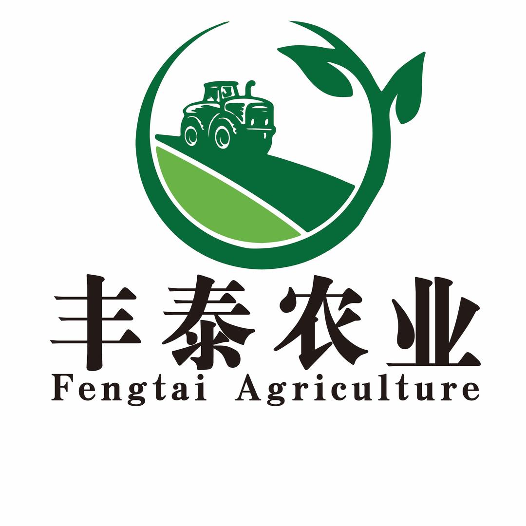 清晨种子