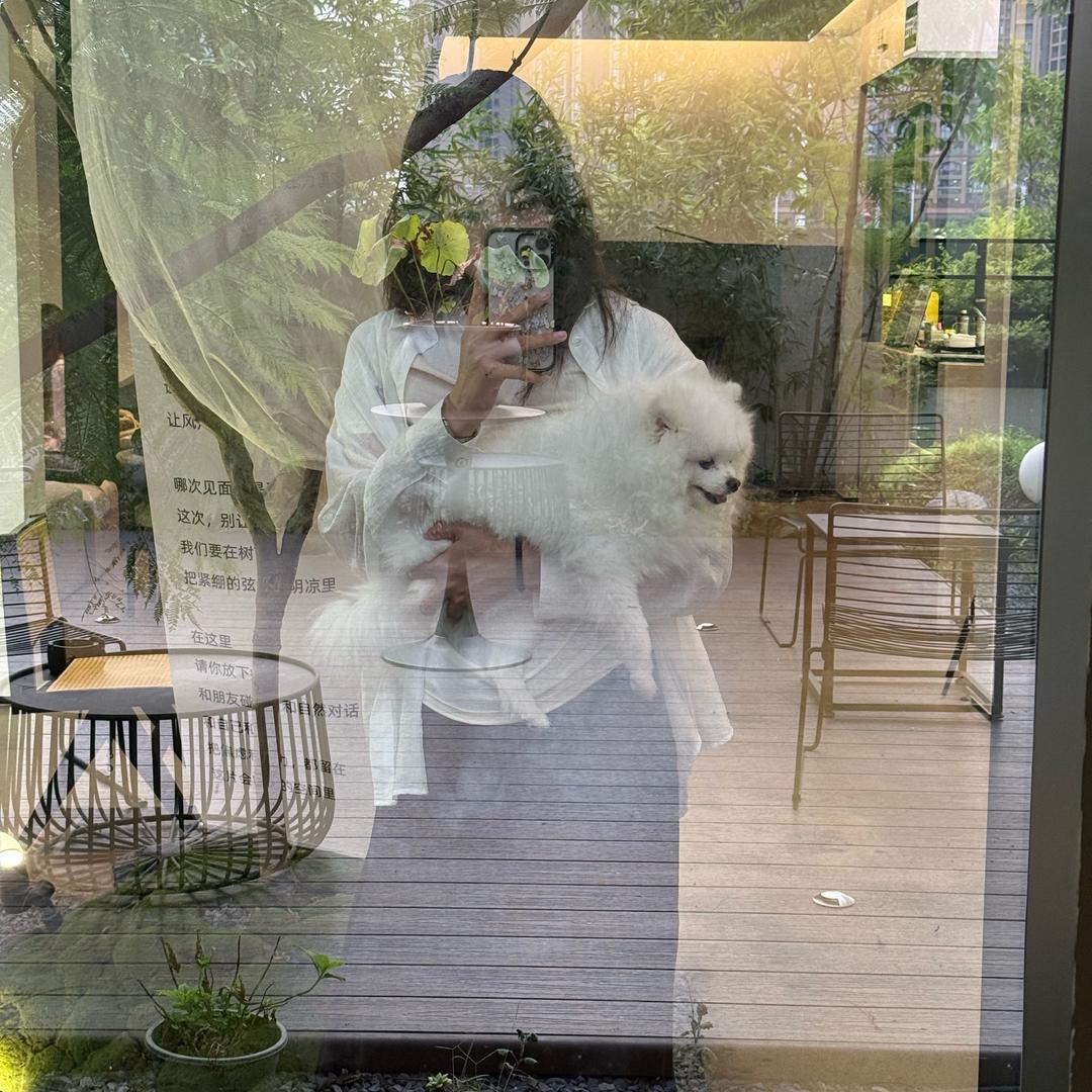 源源有来