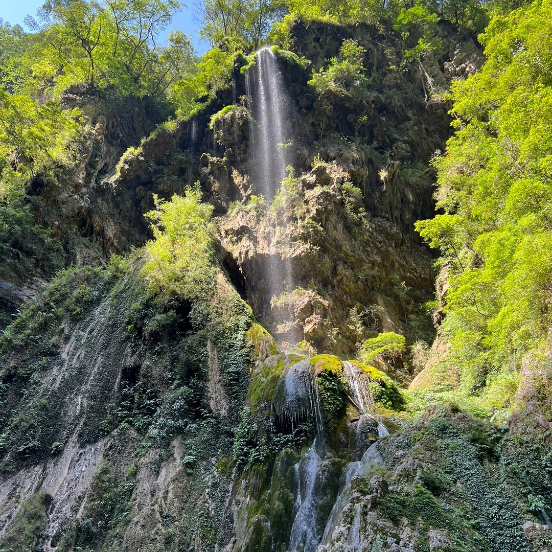 山城公租房跑腿