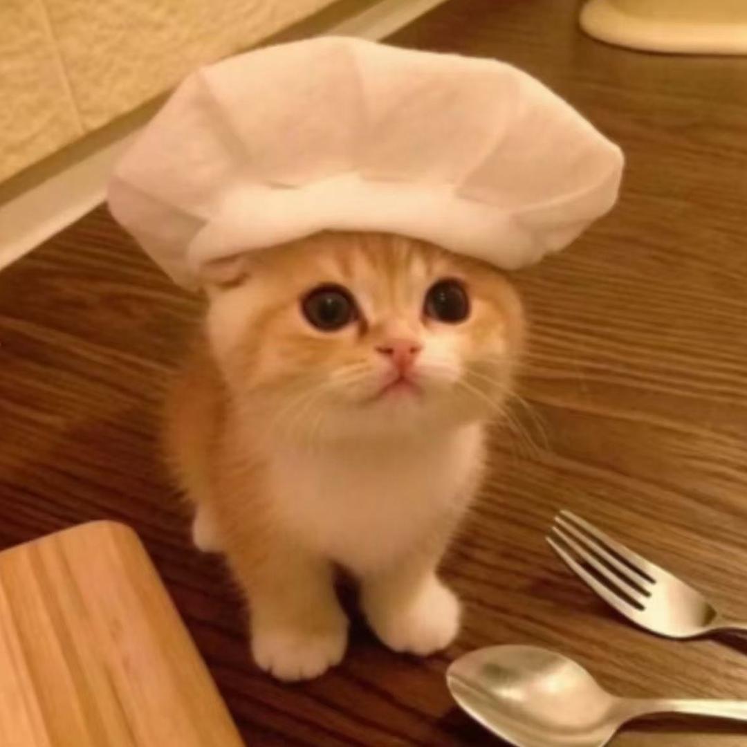 你的小猫咪