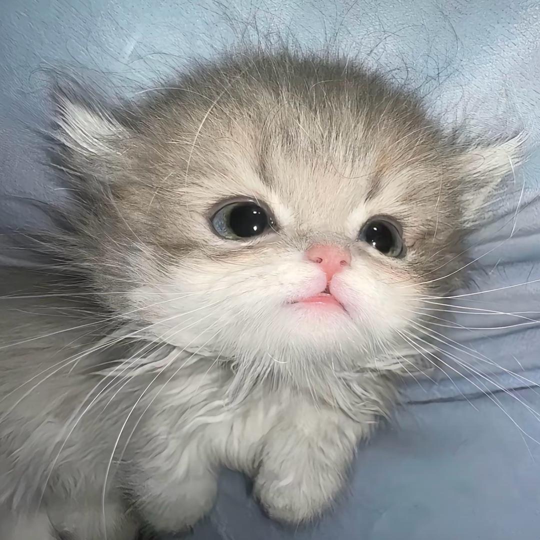 不生气头像