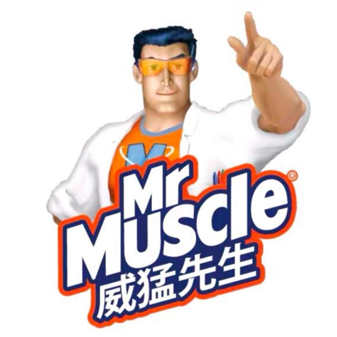 威猛先生家居清洁号