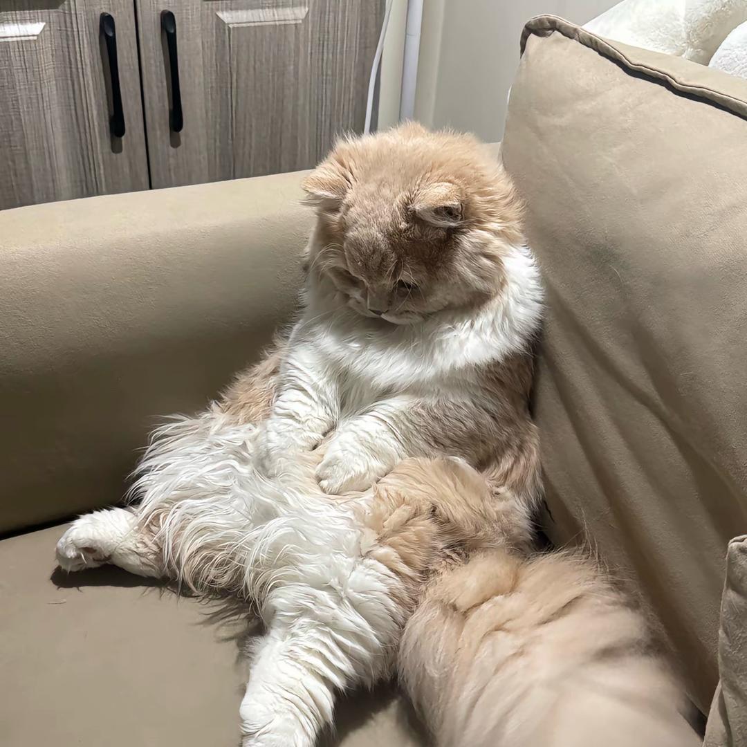 小鬼