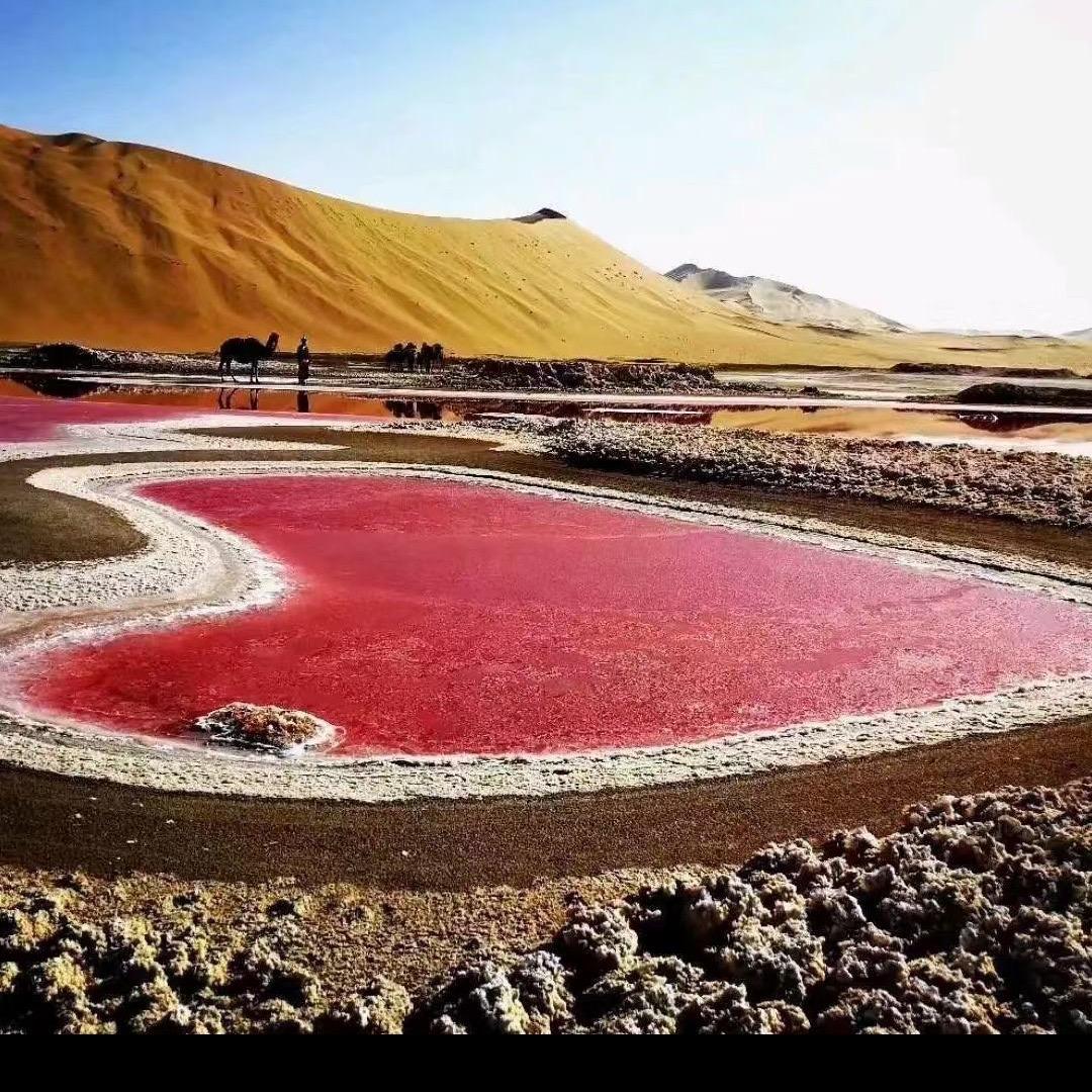 🤪品德决定一切😘