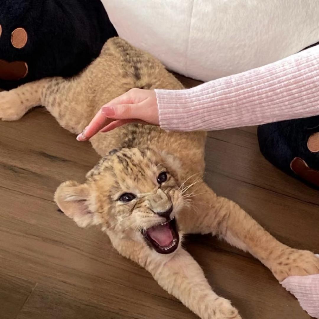 不讲道理的小鱼