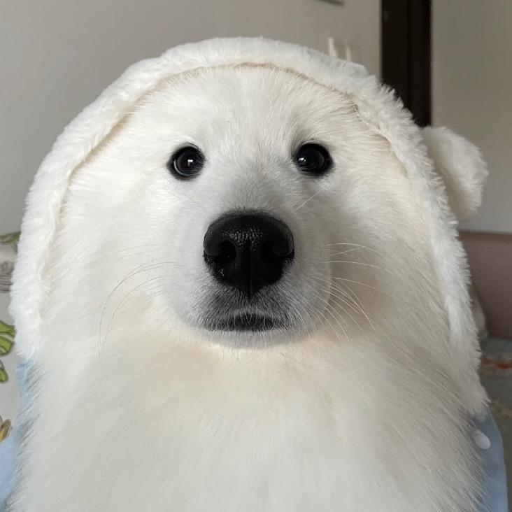 Fzhuii