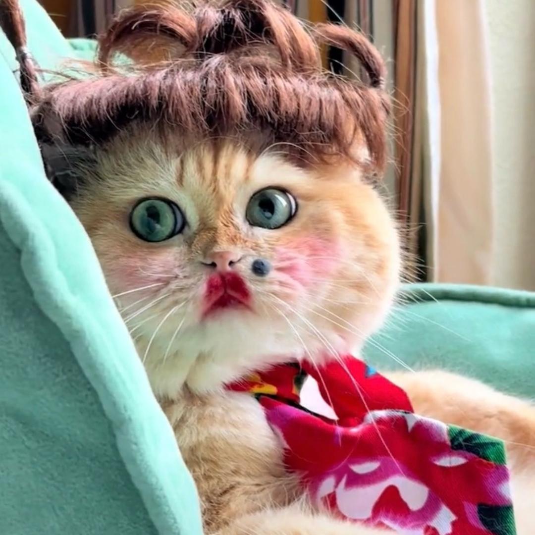 ℒᎭ不吃柠檬ནོ