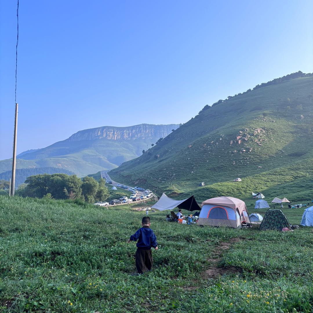 财神爷宠爱的小汉堡