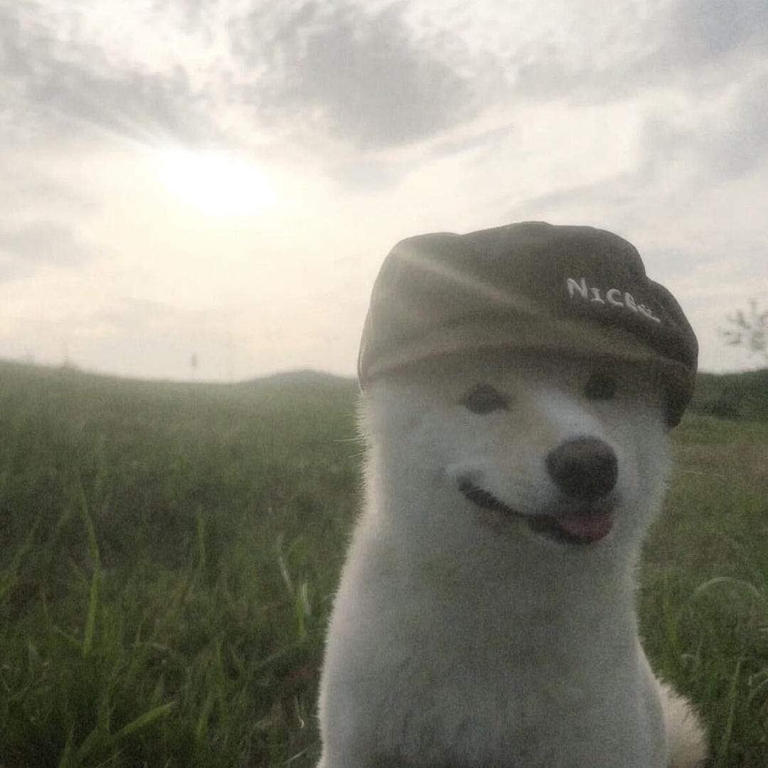 熊大