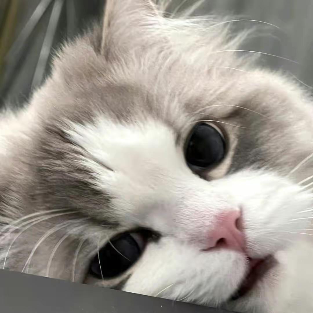 zzzzzz