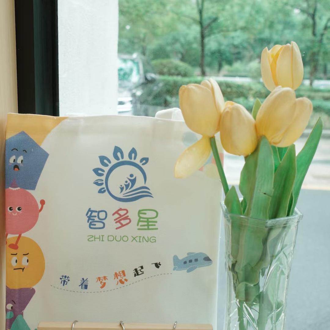 滨湖幼小衔接-月亮老师