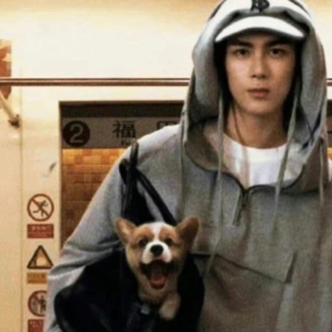 伤心的菠萝头🥕