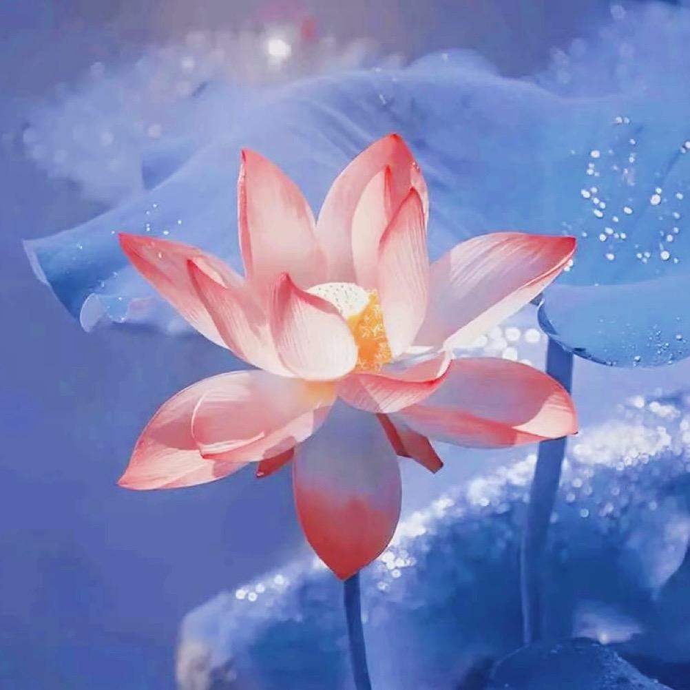 你笑一下嘛