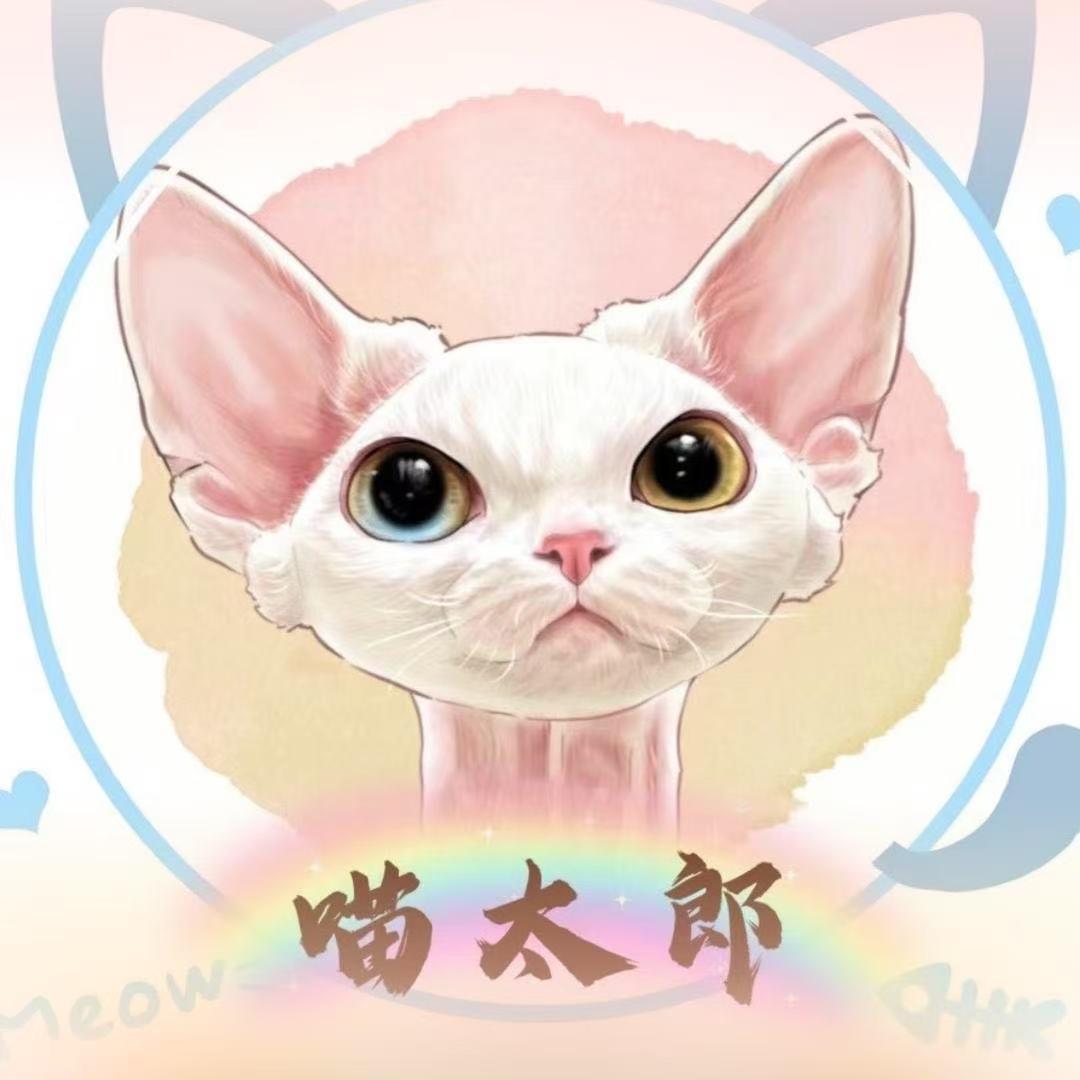 冷色系里的一抹暖色调