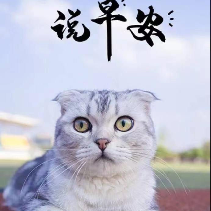香雨丽歌