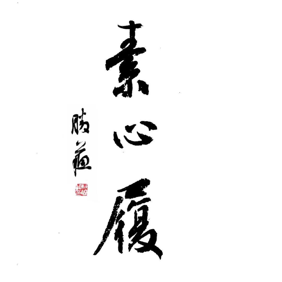 素心履河北素心履远鞋服有限公司女鞋专卖店