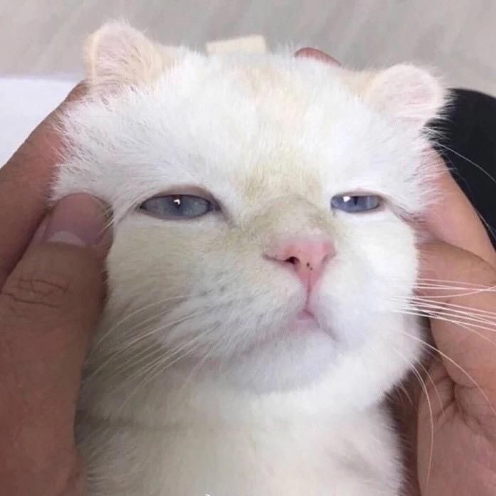 oox