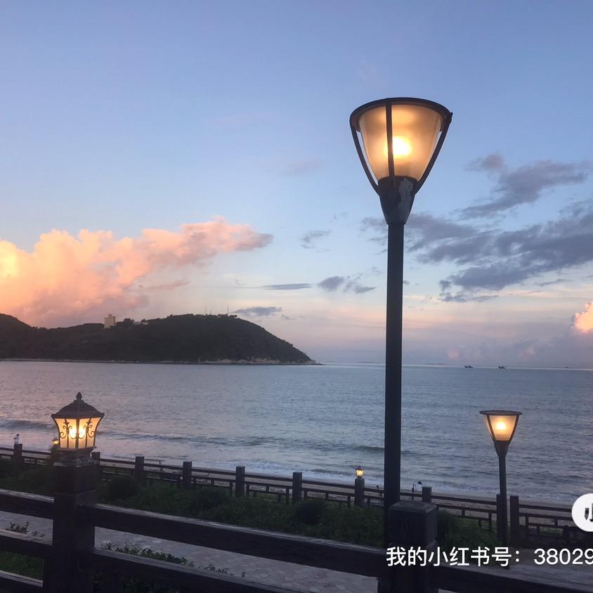 游画寻宝