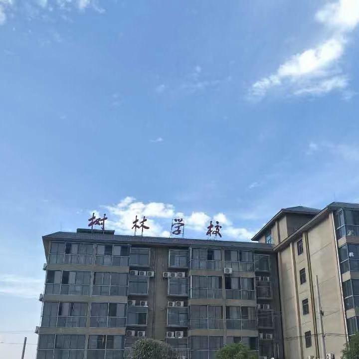 树林学校ys