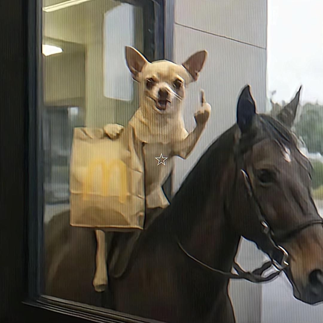 叶隙残月🏸🏔️