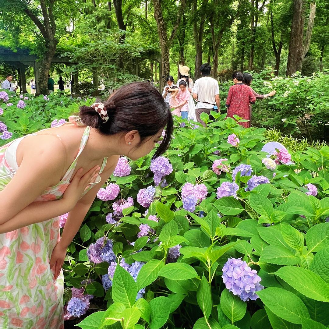 可爱蟹