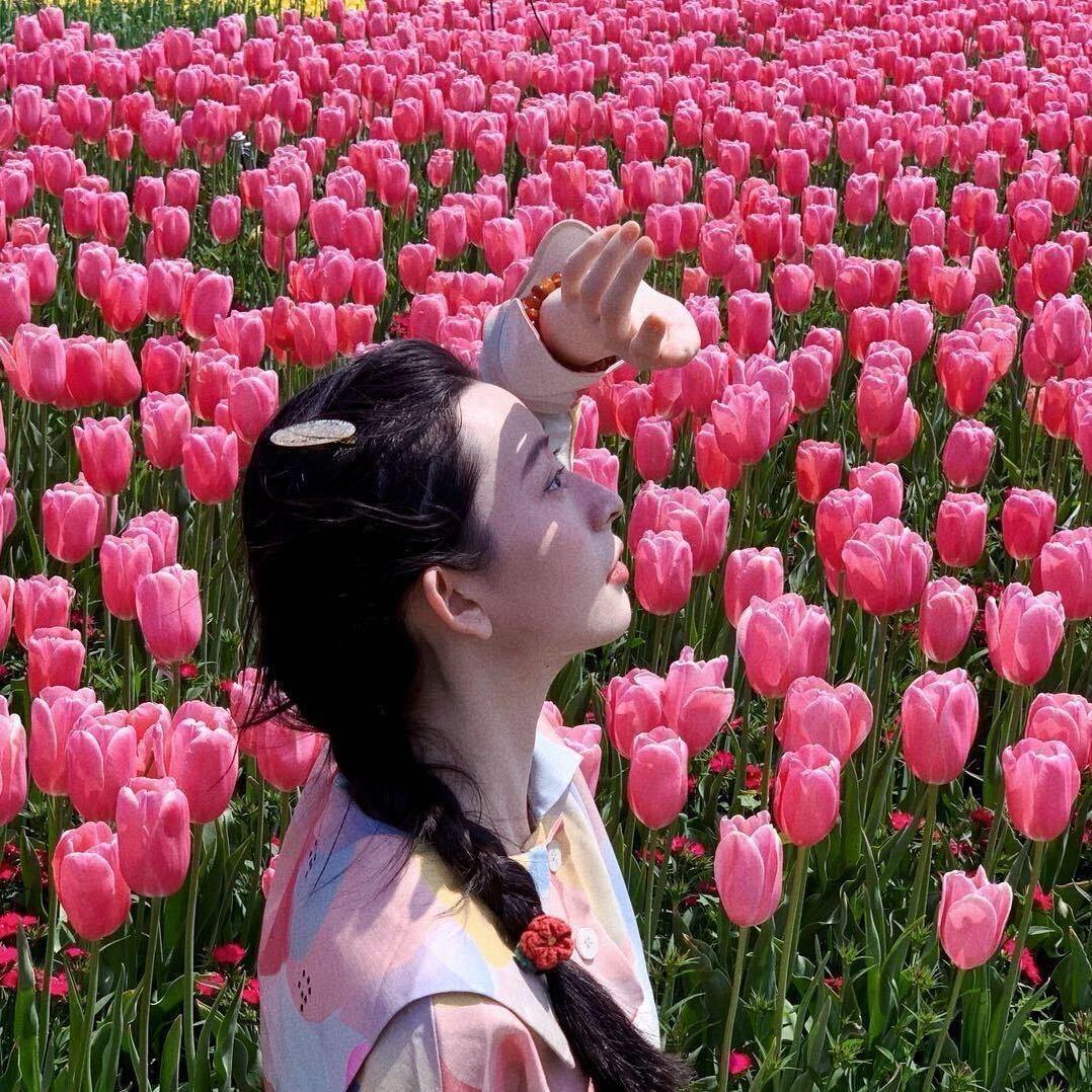 八拍似排忧（炒王）