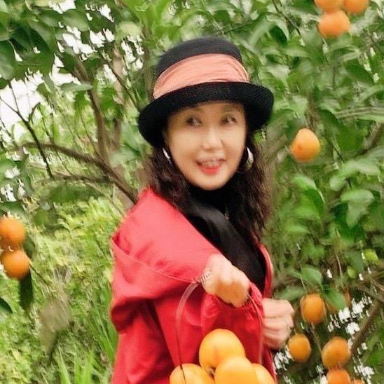 🌺兰子🌺