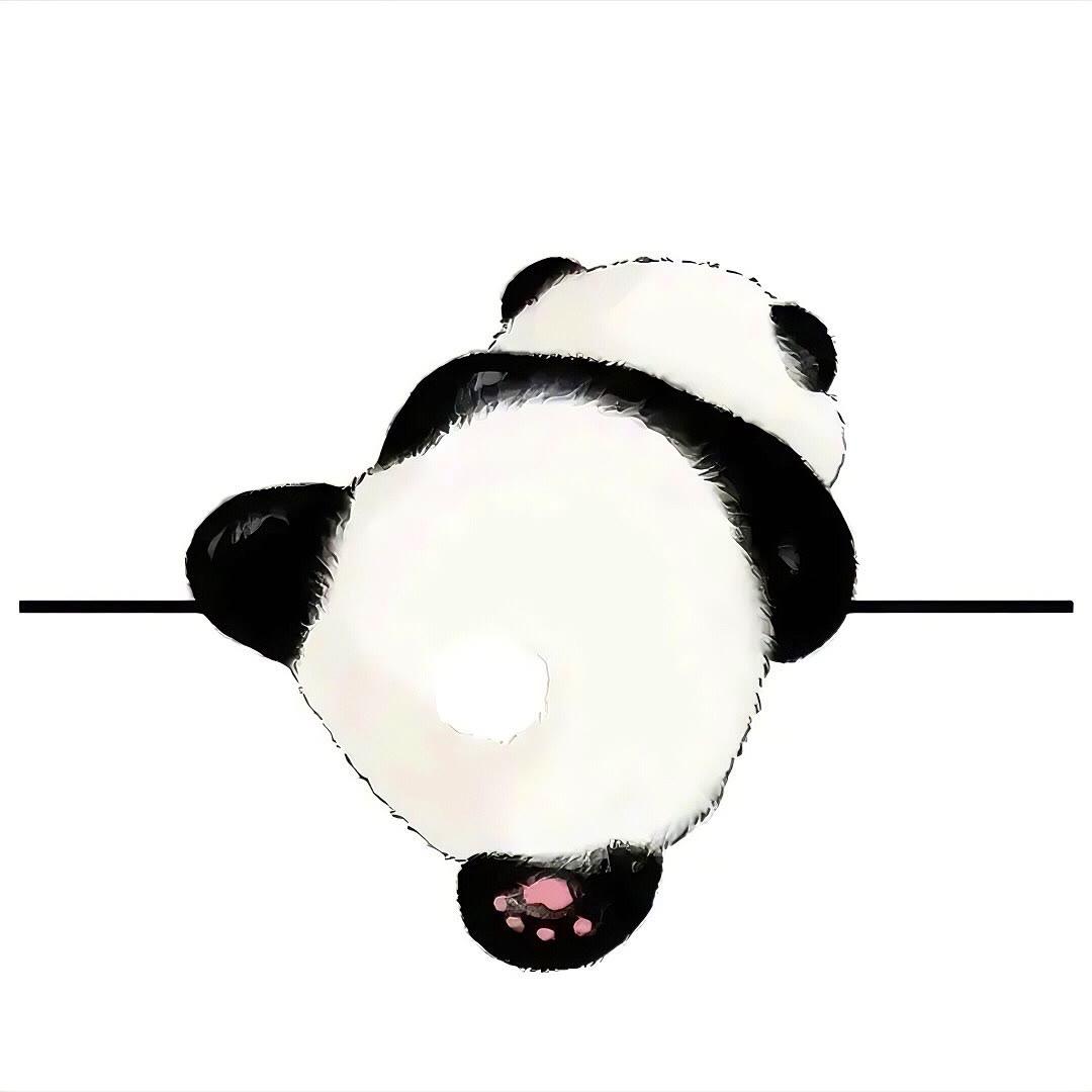 陈公子🍃