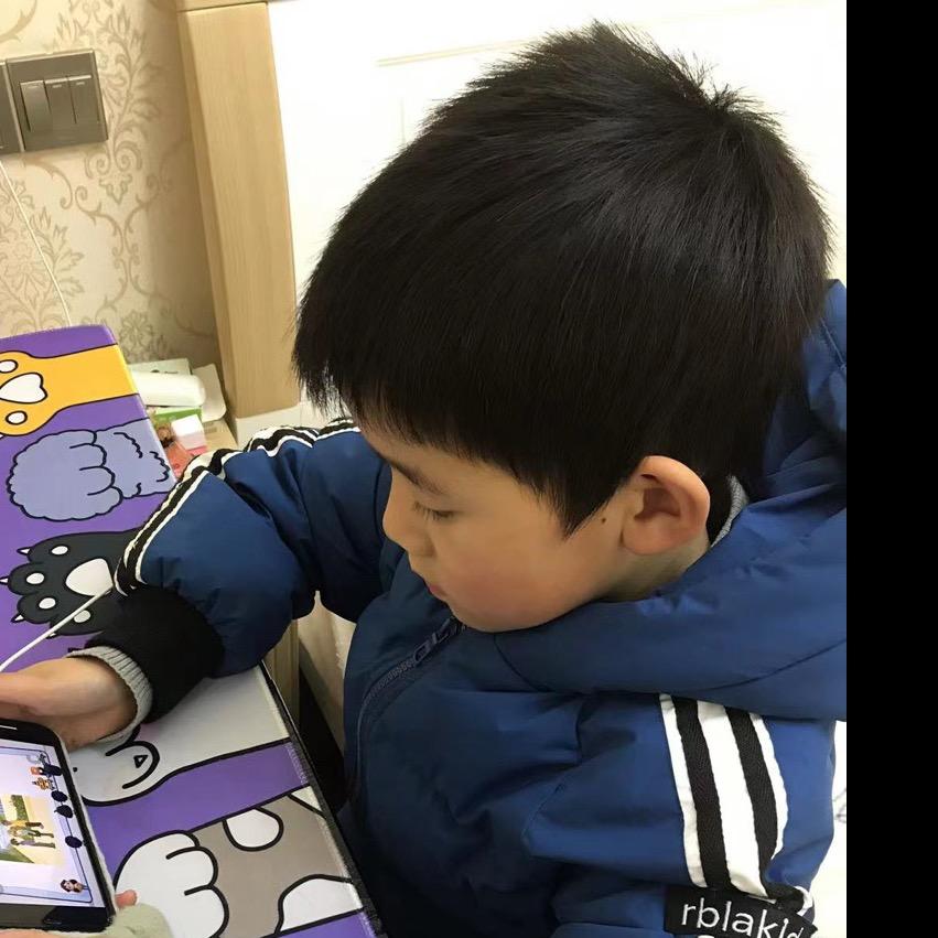 磊锅新能源