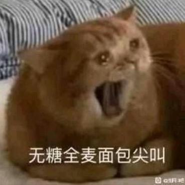 可乐今天开心了吗