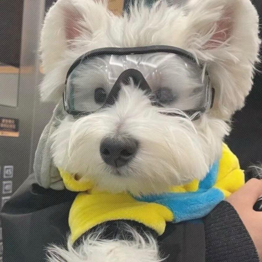 Nann_