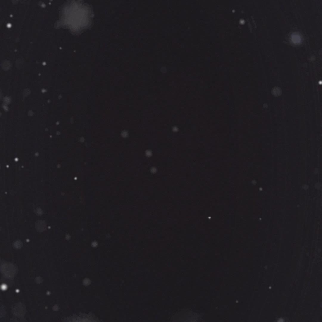 澔