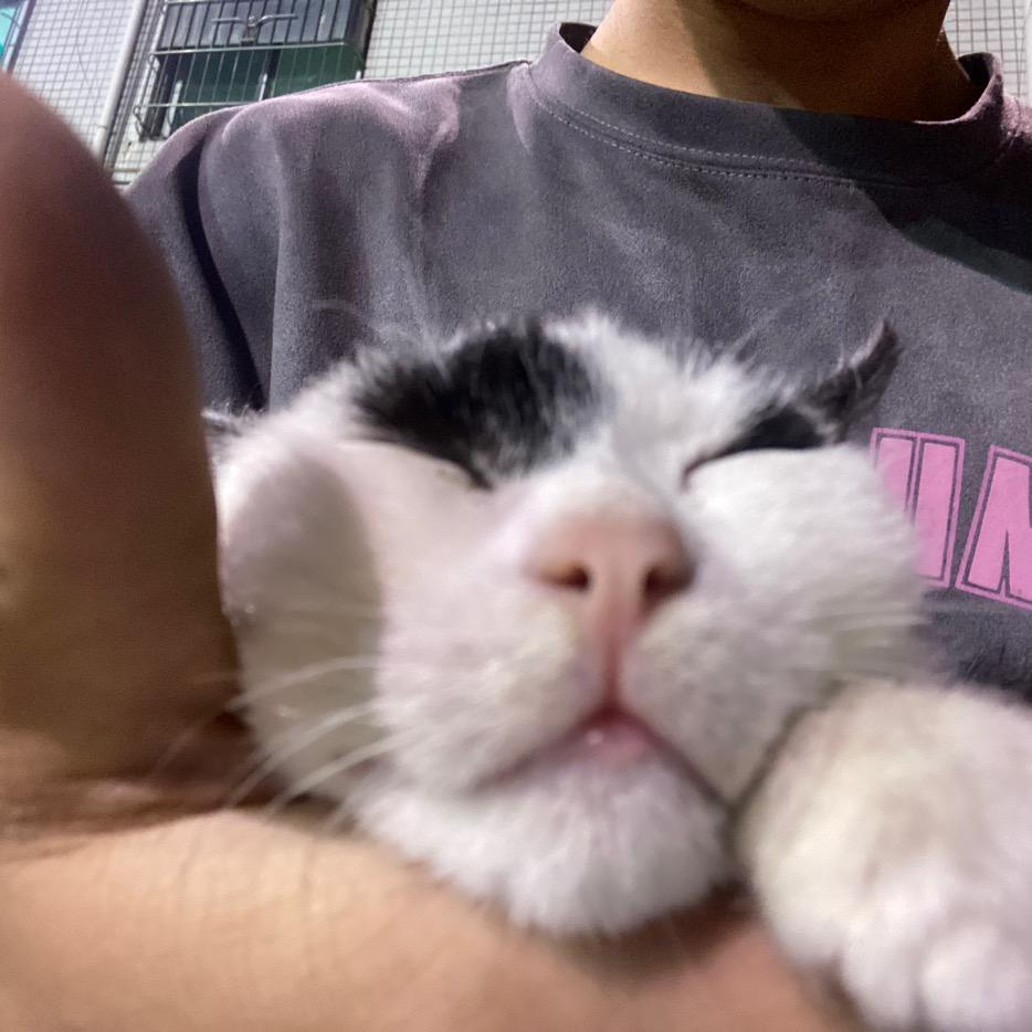 小猪潮流饰品