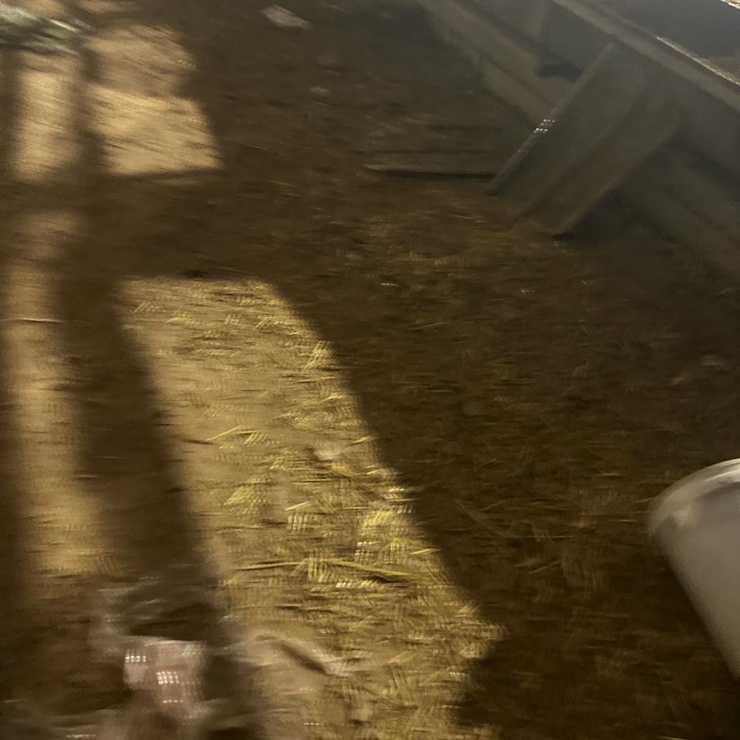 用户8585285009
