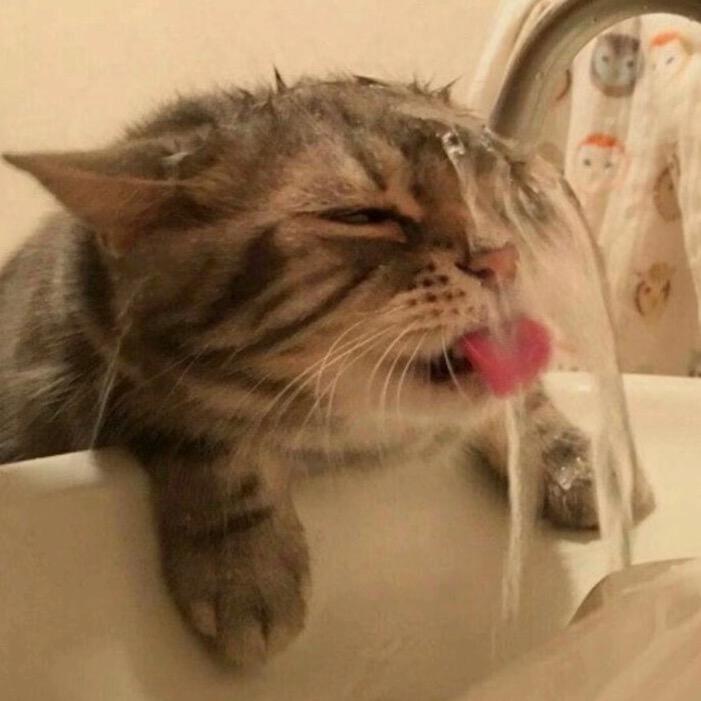 我真的是团支书