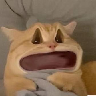 摇摇奶昔昔.