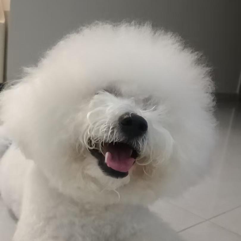 没头脑和不高兴