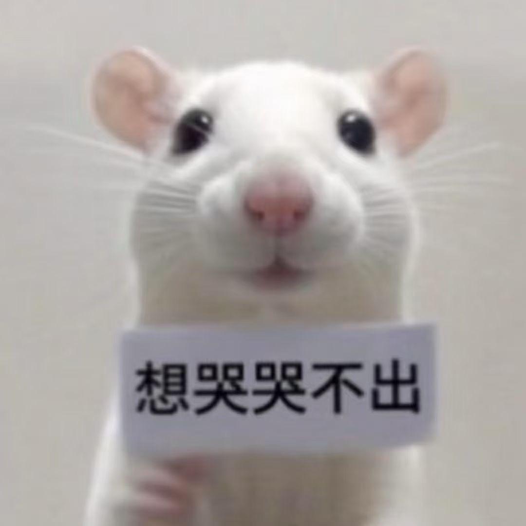 尹小五。