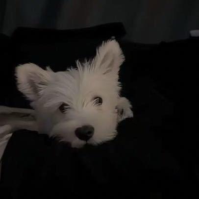 in_