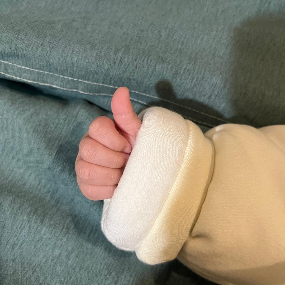 李元宝🍼