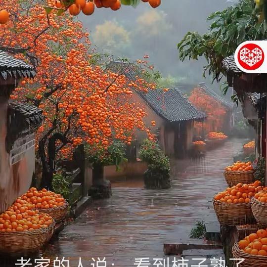 @💘🕊️💋风顺雨顺